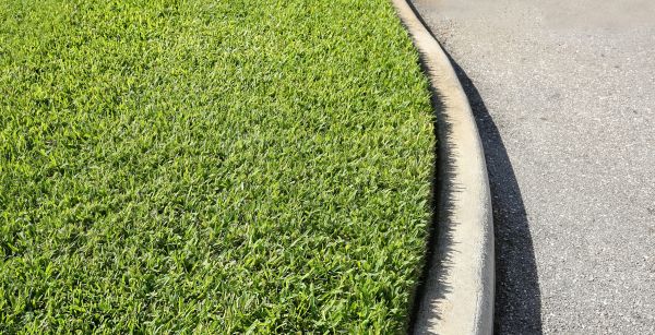 Cost of Street Curb Repair in Burnsville